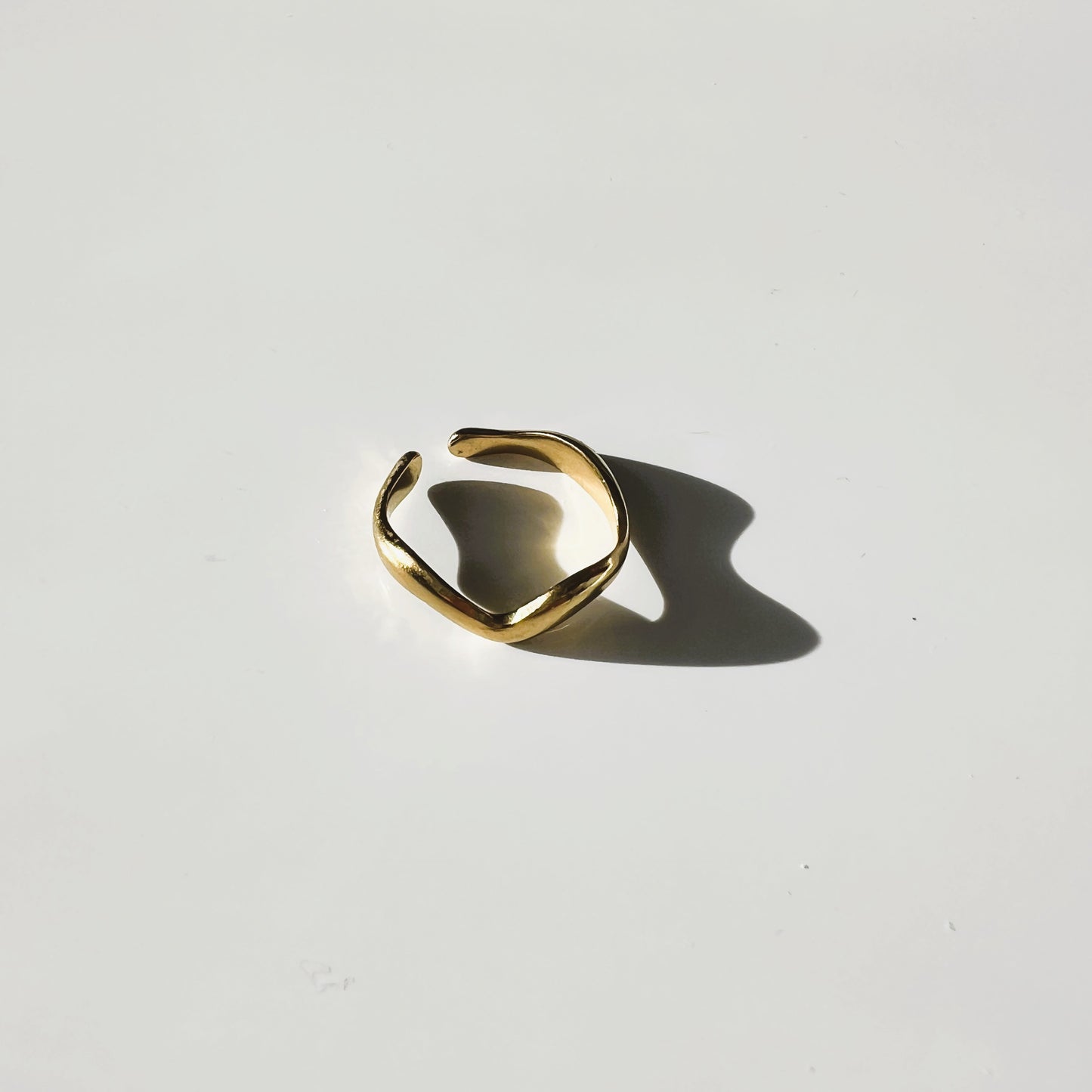 Fiji ring
