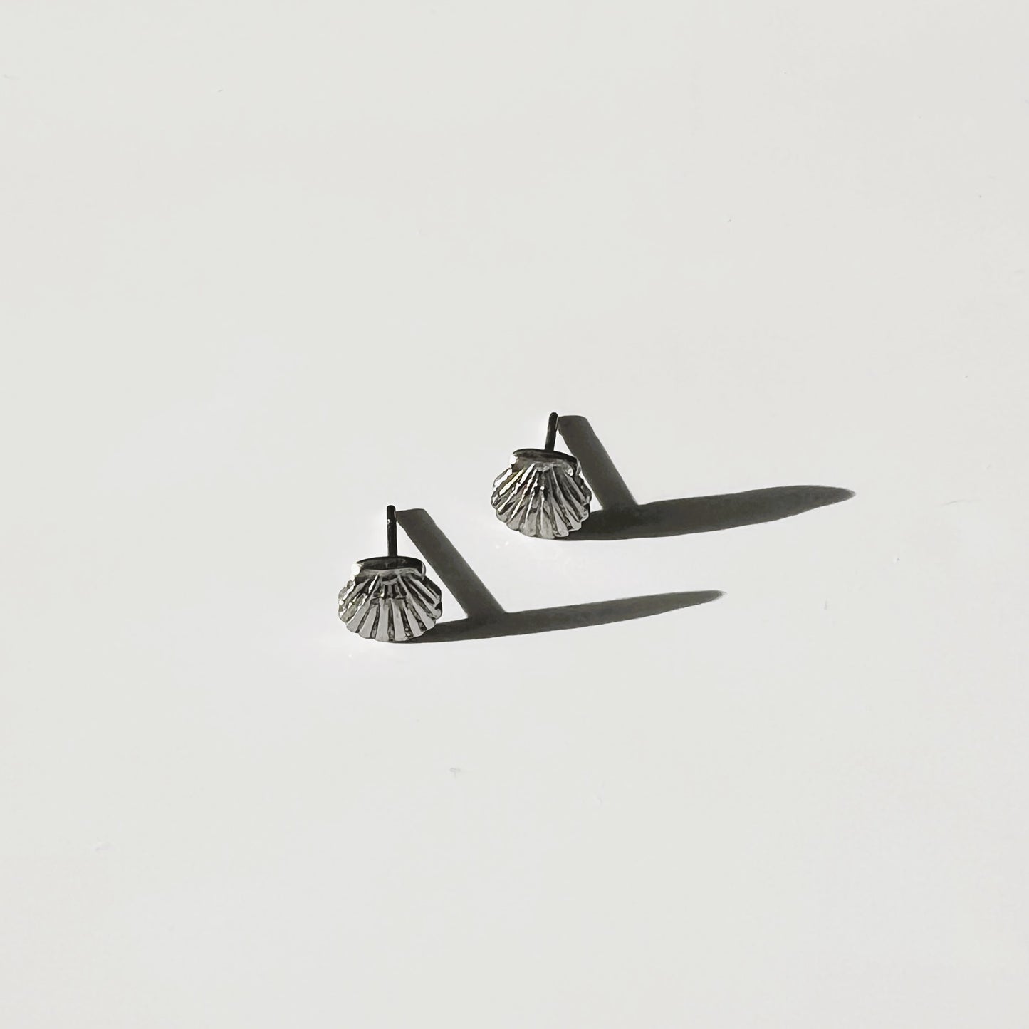Palau small shell earrings
