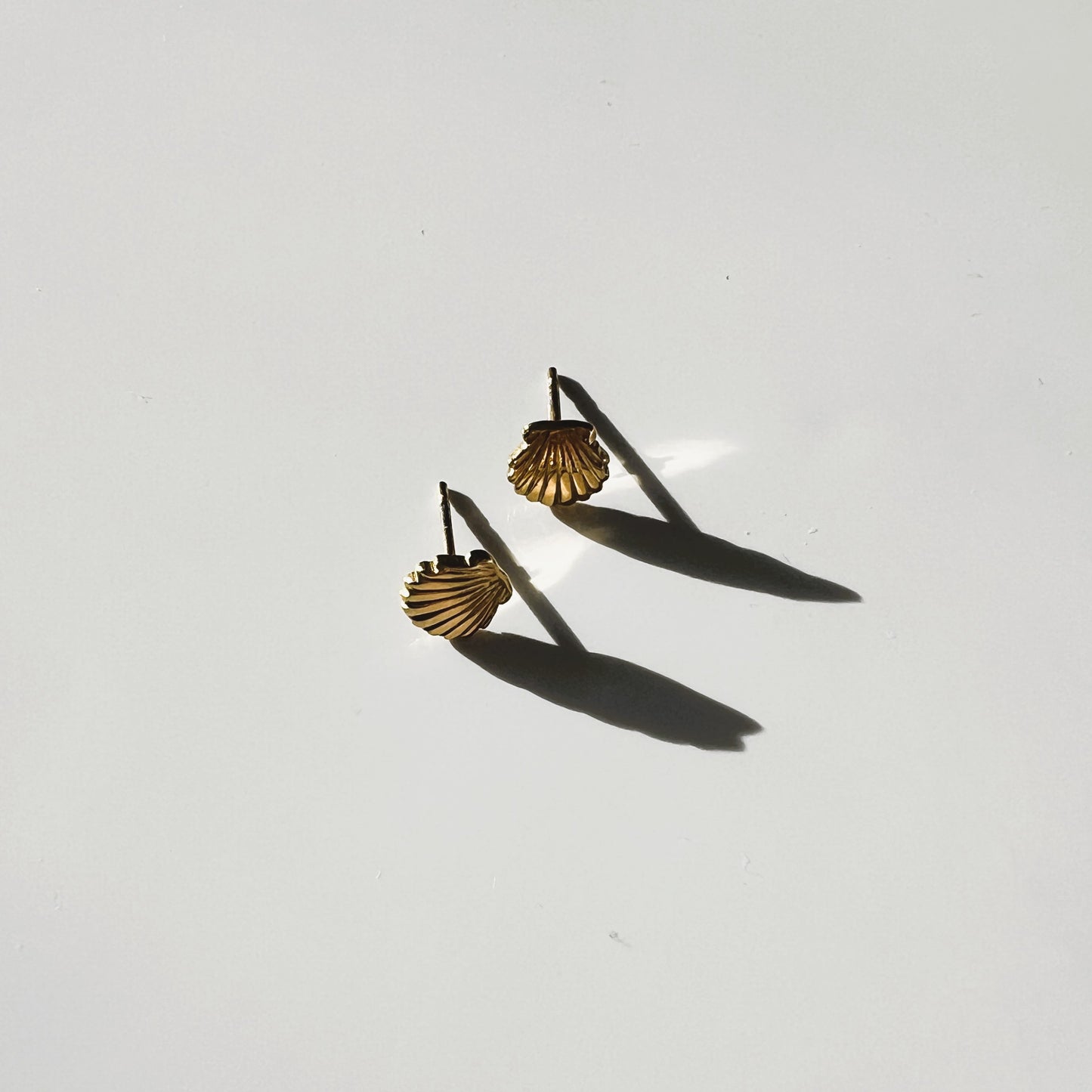 Palau small shell earrings