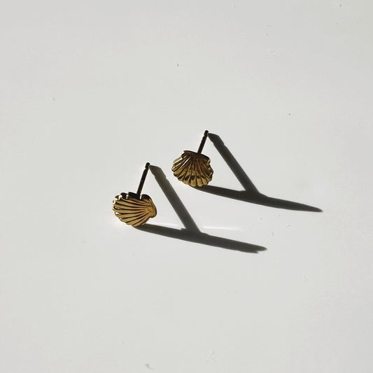 Palau small shell earrings